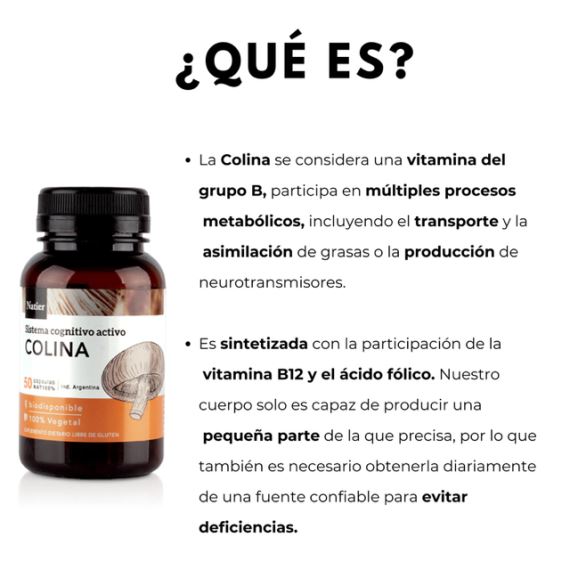 Suplemento Colina 50 Cápsulas Sistema Cognitivo Natier