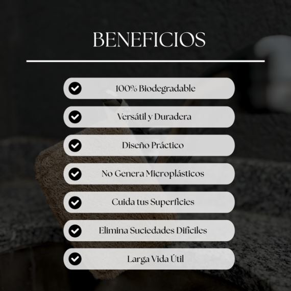 Combo Kit Detergente Sólido + Esponja Vegetal Natural Nyubu