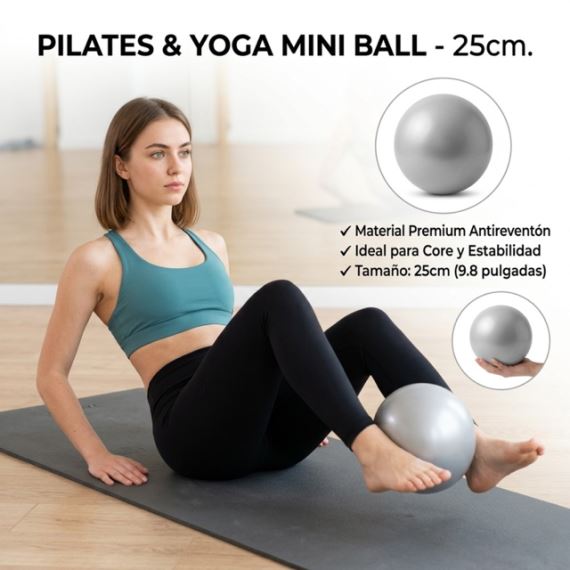 Pelota Suiza Esferodinamia Pilates Yoga Gym Fitness 25cm Gris Pvc