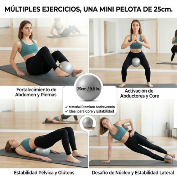 Pelota Suiza Esferodinamia Pilates Yoga Gym Fitness 25cm Gris Pvc
