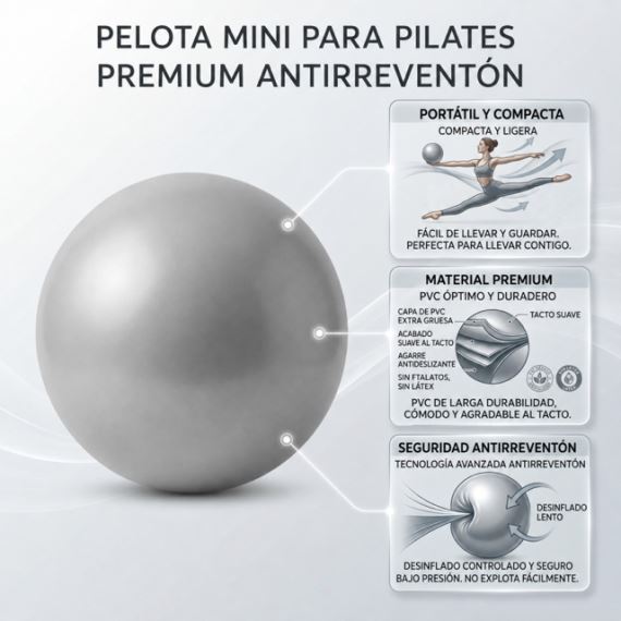 Pelota Suiza Esferodinamia Pilates Yoga Gym Fitness 25cm Gris Pvc