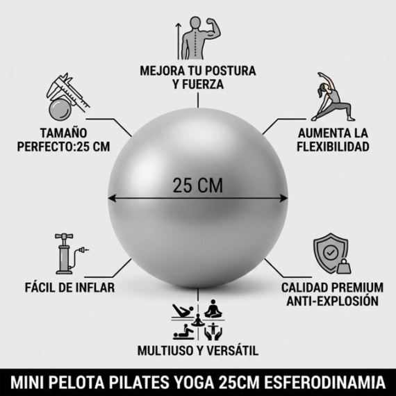 Pelota Suiza Esferodinamia Pilates Yoga Gym Fitness 25cm Gris Pvc